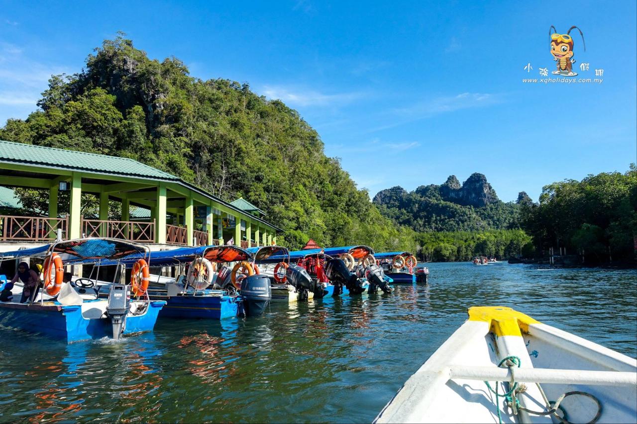 Jelajahi Mangrove Langkawi: Ekosistem Pesisir yang Menawan